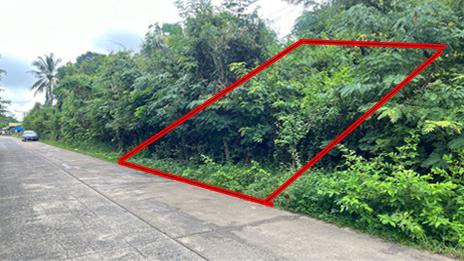 ที่ดิน 1300000 อุบลราชธานี เมืองอุบลราชธานี ขามใหญ่