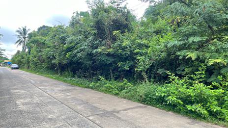 ที่ดิน 1300000 อุบลราชธานี เมืองอุบลราชธานี ขามใหญ่